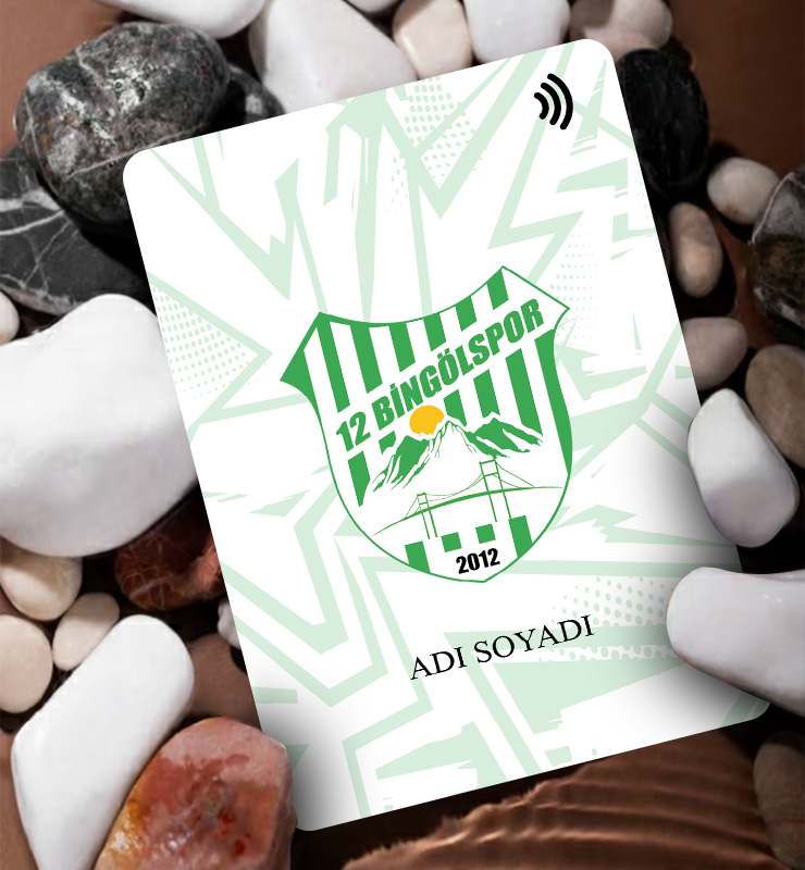 12BİNGÖLSPOR